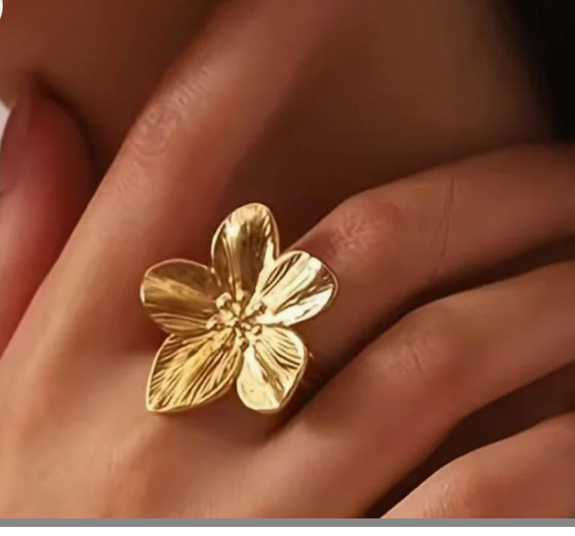 Collectie Ringen