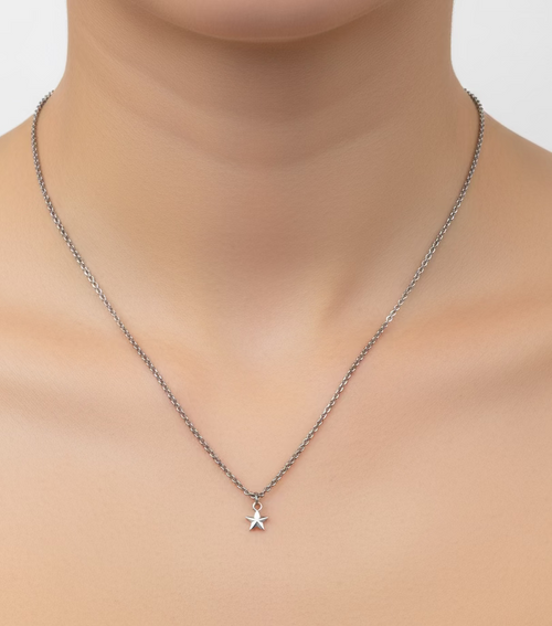 zilverkleurige ketting met ster hanger-RK Sieraden