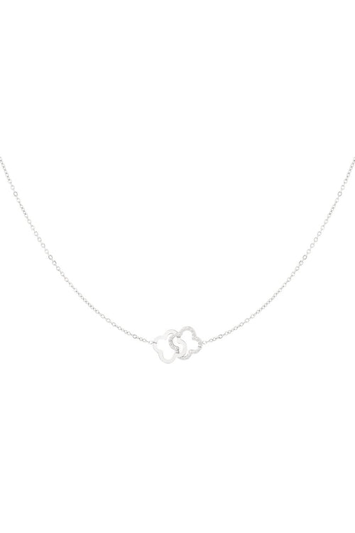 ketting met twee rondjes hanger kleur zilver RVS