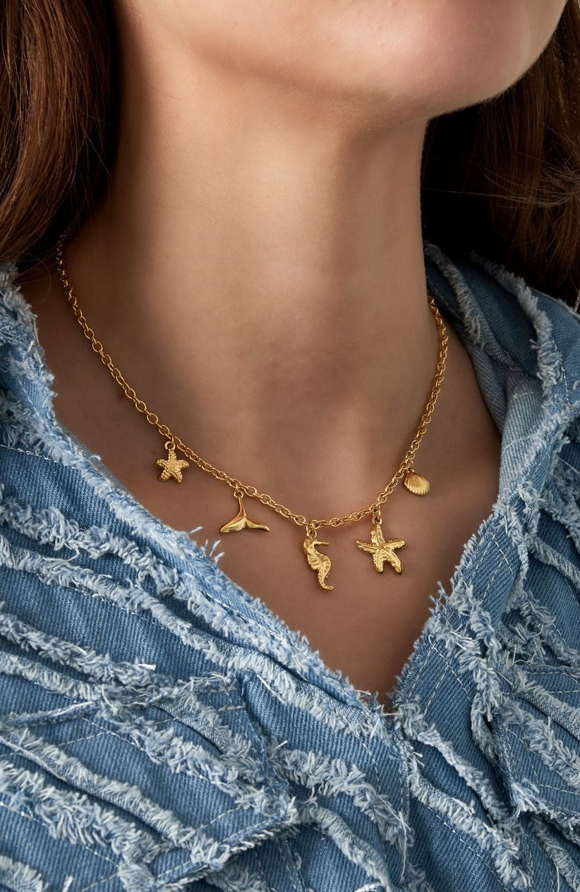 Ocean Bedelketting